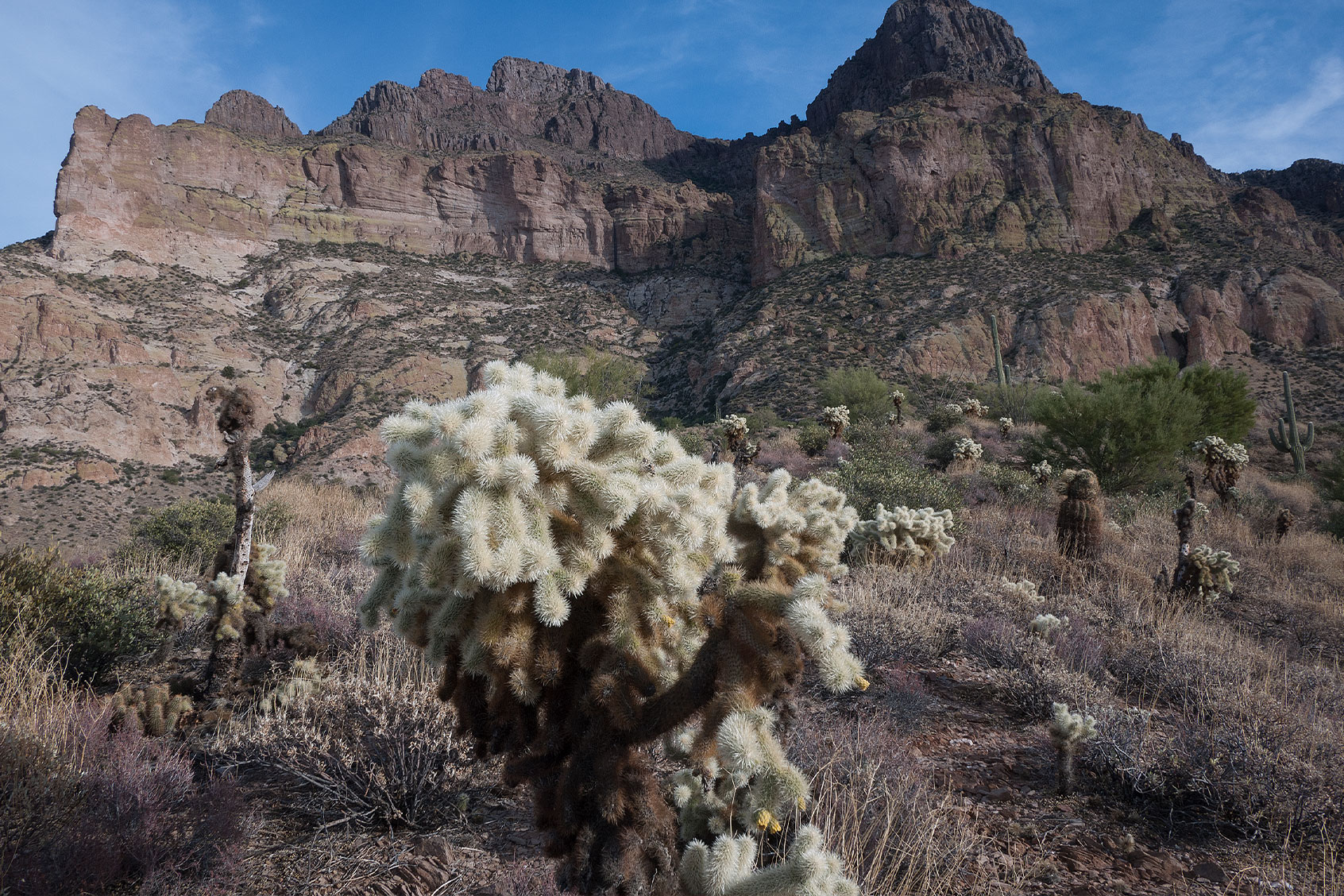 Oak Flats in Superior, Arizona. (Andrew Lichtenstein/ Corbis via Getty Images)