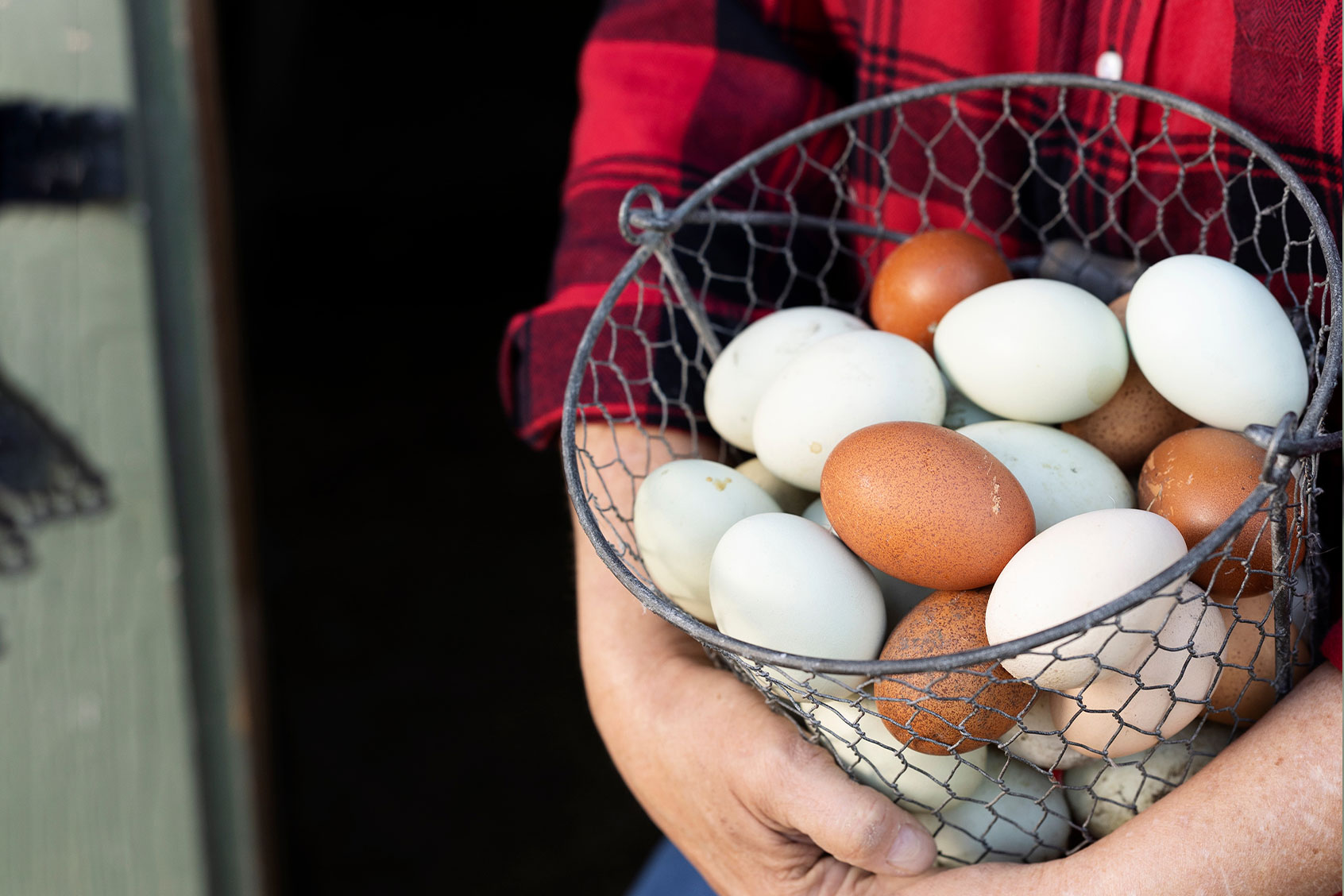 Lisa Steele holding a basket of multi-colored eggs (Photo courtesy of Lisa Steele)