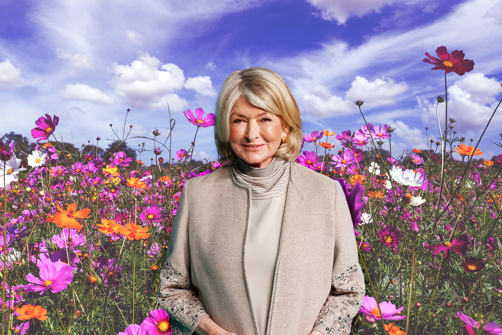 Martha Stewart (Photo illustration by Salon/Getty Images)