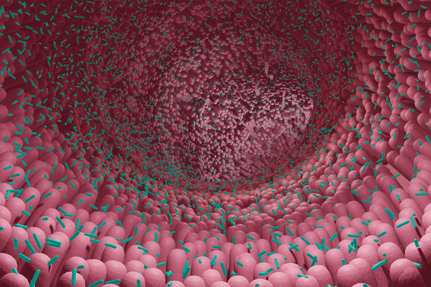 Microbiome, illustration (Getty Images / ARTUR PLAWGO / SCIENCE PHOTO LIBRARY)