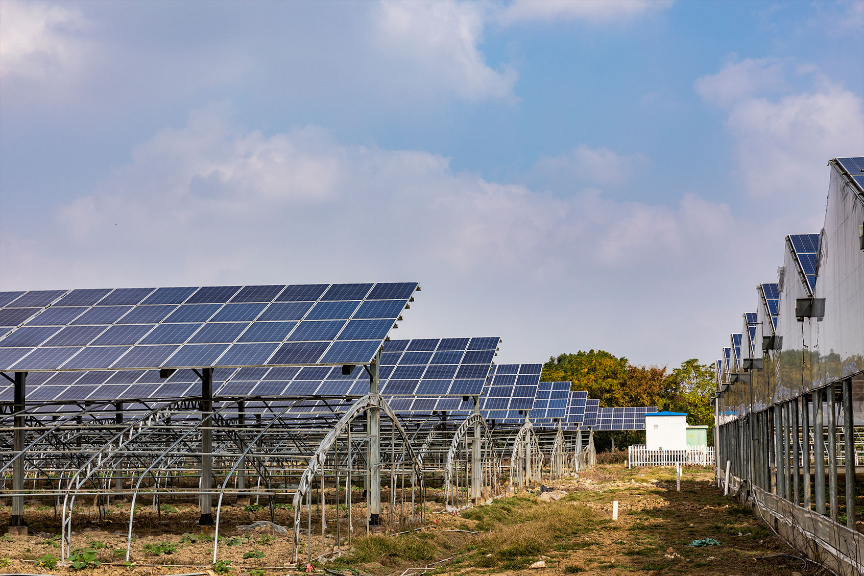 Aerial view of solar power plant that provides energy for vegetable greenhouses (Getty Images/owngarden)
