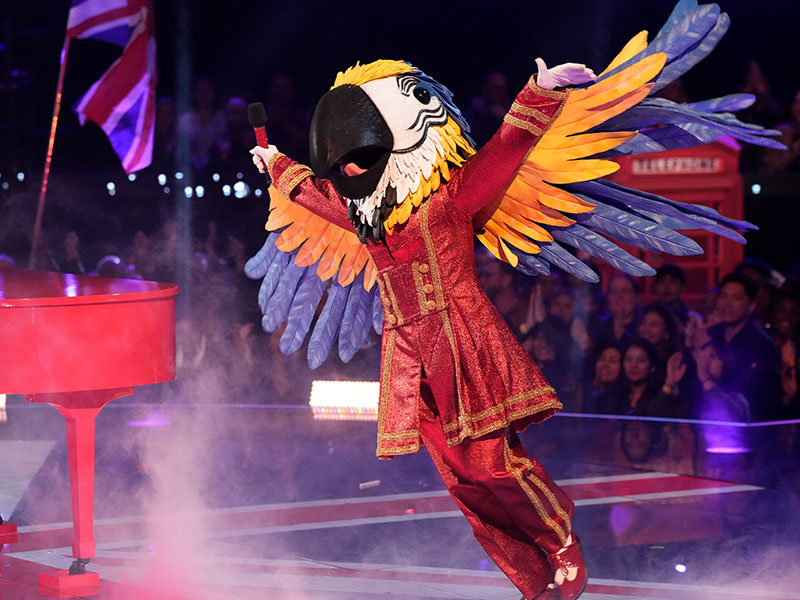 The Masked Singer