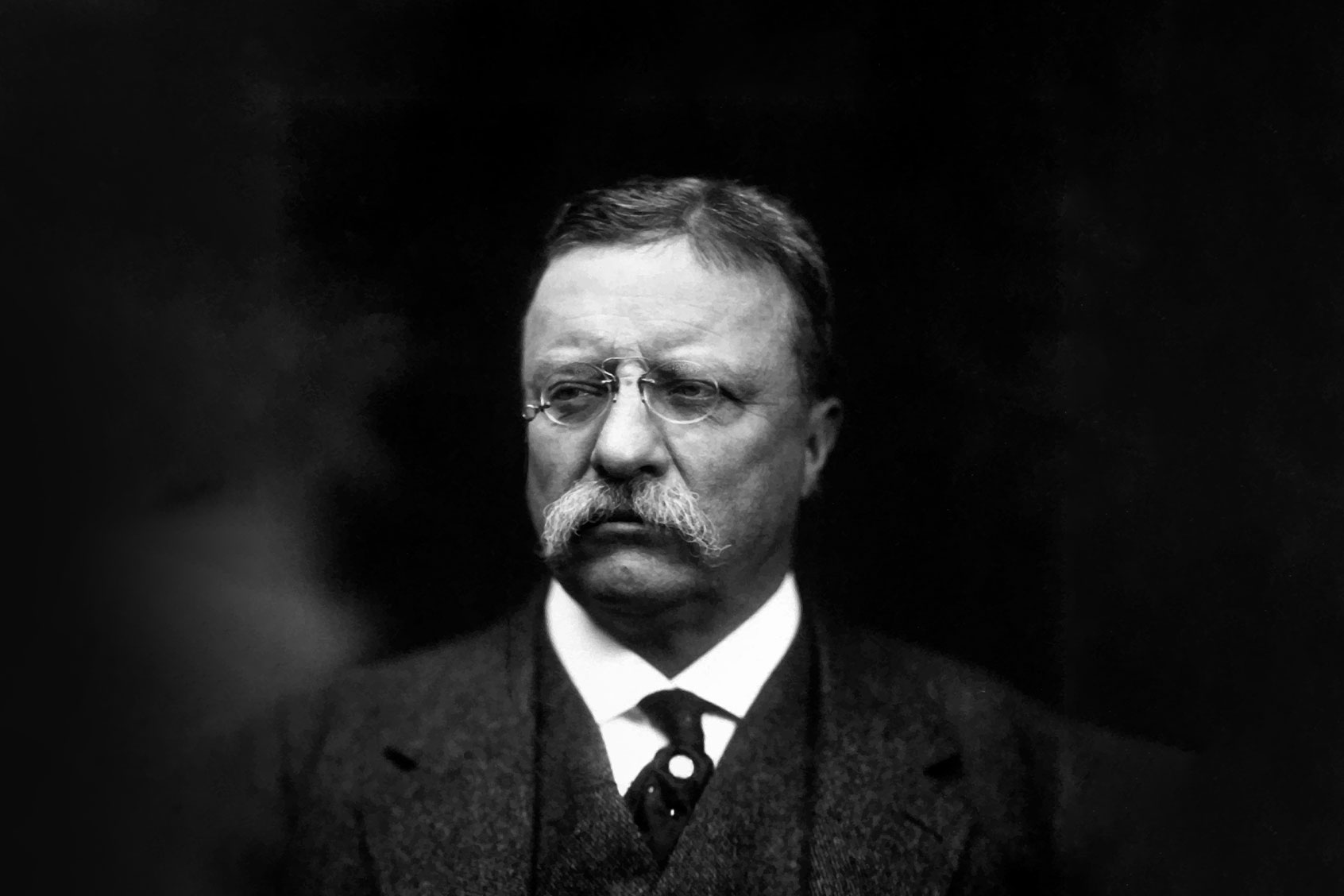 Theodore Roosevelt (Getty Images/John Parrot/Stocktrek Images)