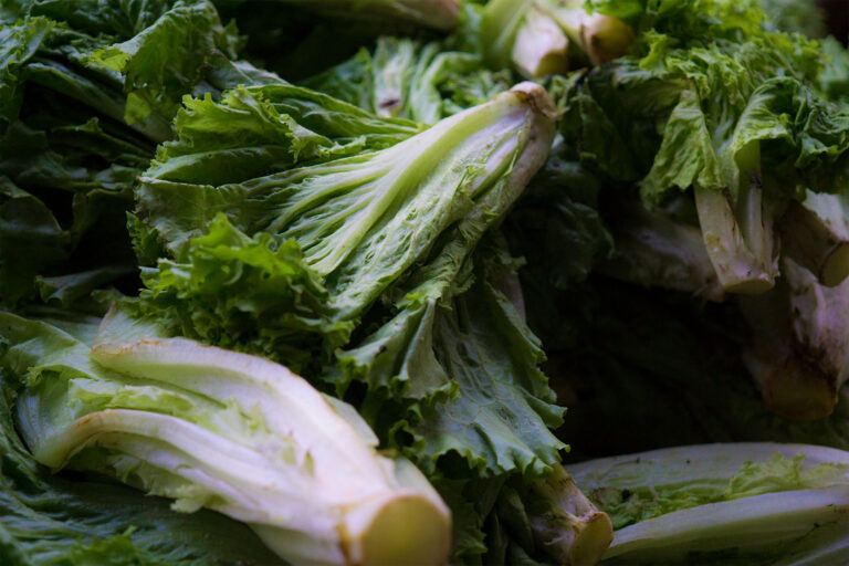 Green mustard leaf (Getty Images/Fajrul Islam)
