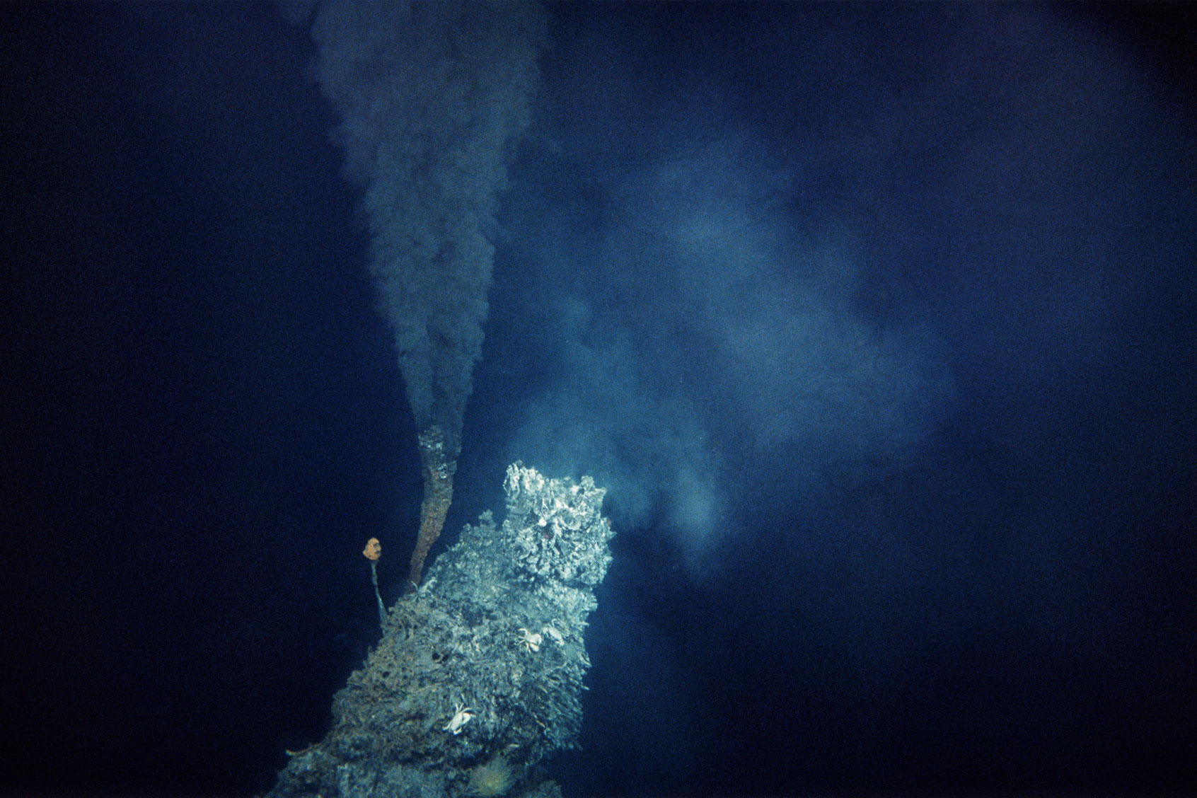 A tubular hydrothermal vent that releases hot water, known as a "black smoker", in the Pacific Ocean (Getty Images/Ralph White)