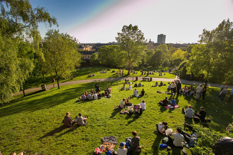 A park in Stockholm, Sweden at evening time (Getty Images/Yelizaveta Tomashevska)