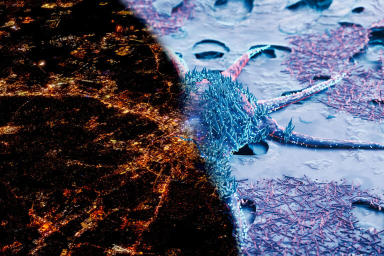 Aerial View City in the US | Cancer Cell (Photo illustration by Salon/Getty Images)
