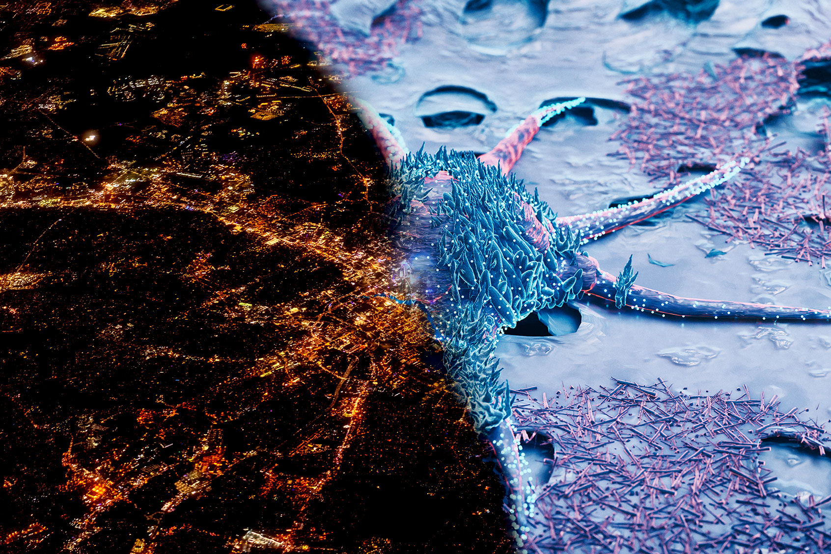 Aerial View City in the US | Cancer Cell (Photo illustration by Salon/Getty Images)