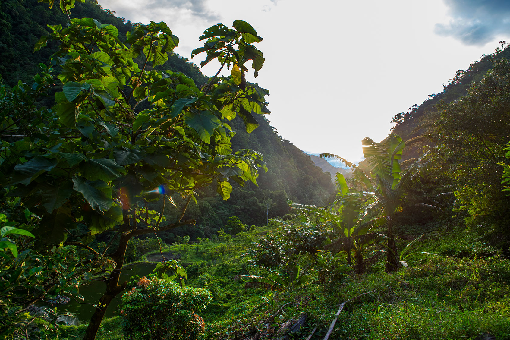 Lush valley in the Columbian jungle (Getty Images/Cavan Images)