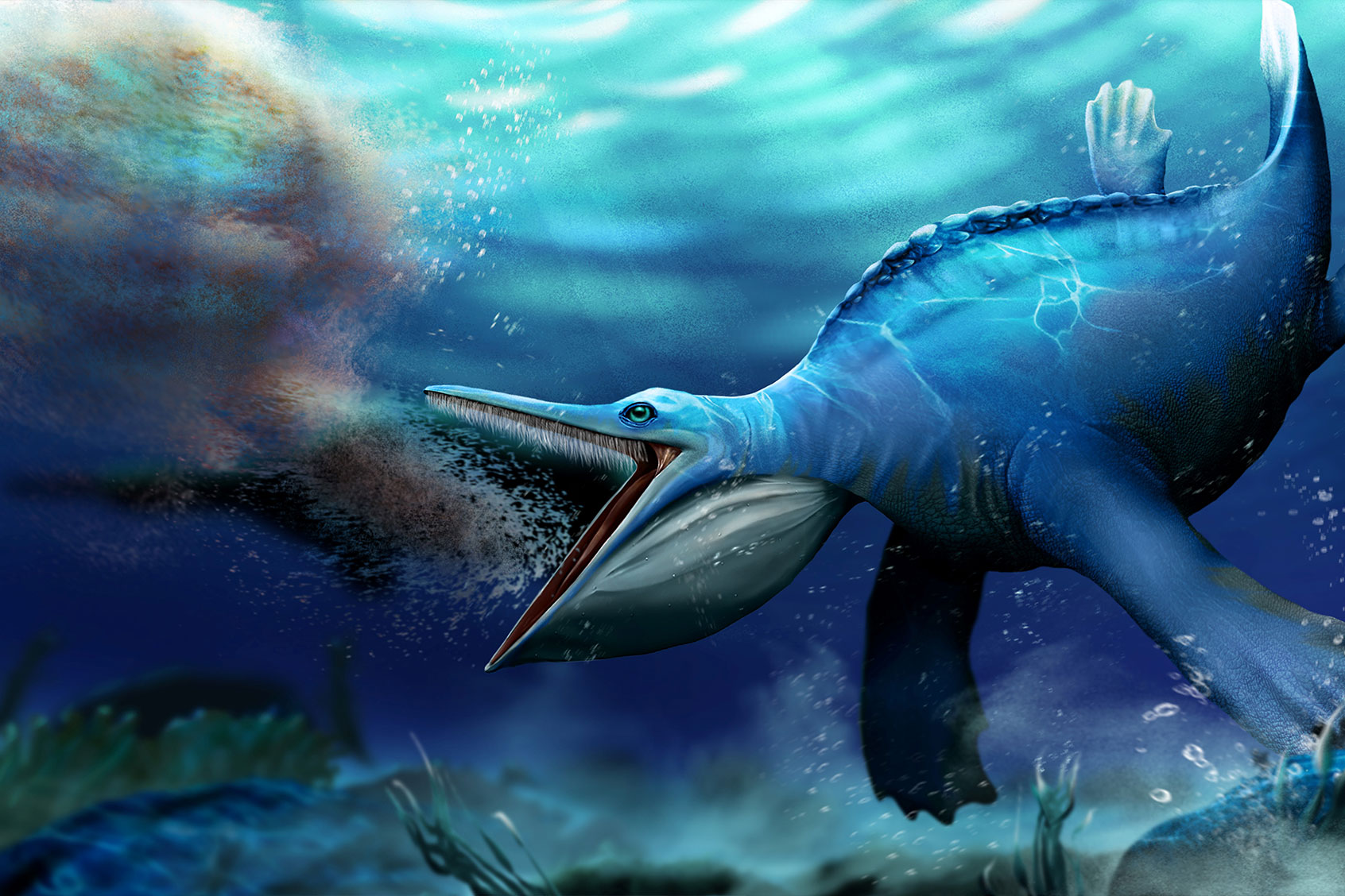 Reconstruction of Hupehsuchus about to engulf a shoal of shrimps. (Artwork by Shunyi Shu, © Long Cheng, Wuhan Center of China Geological Survey)