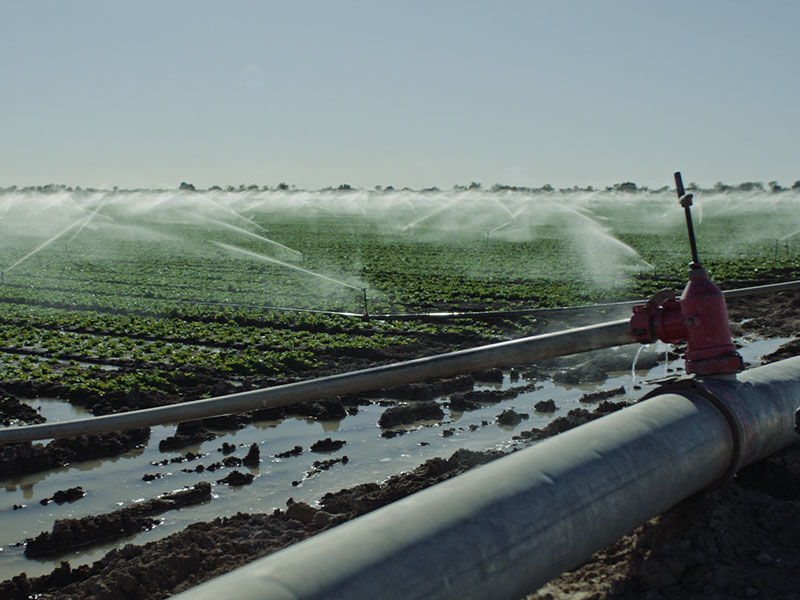 Poisoned: The Dirty Truth About Your Food