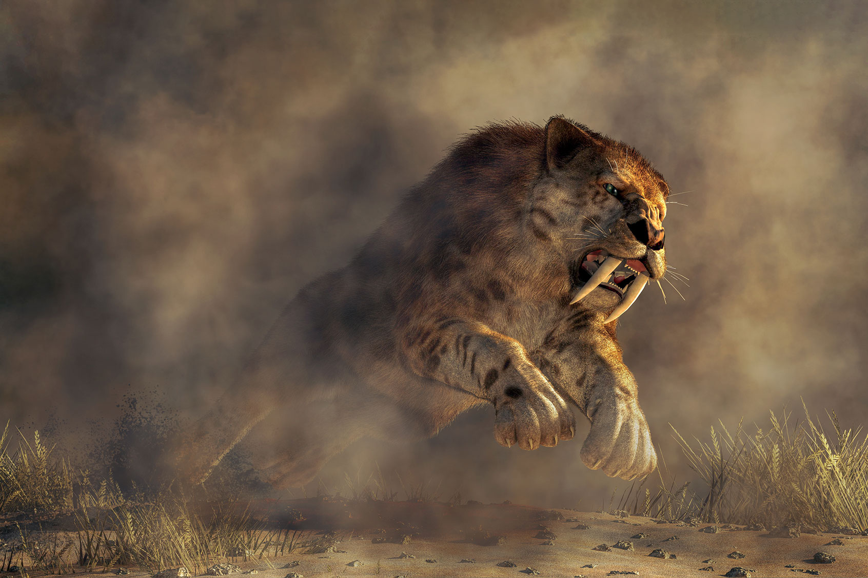 Pouncing Saber Tooth (Getty Images/Daniel Eskridge)