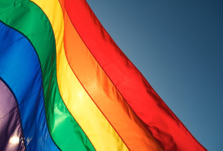 Pride flag (Getty Images/PeskyMonkey)