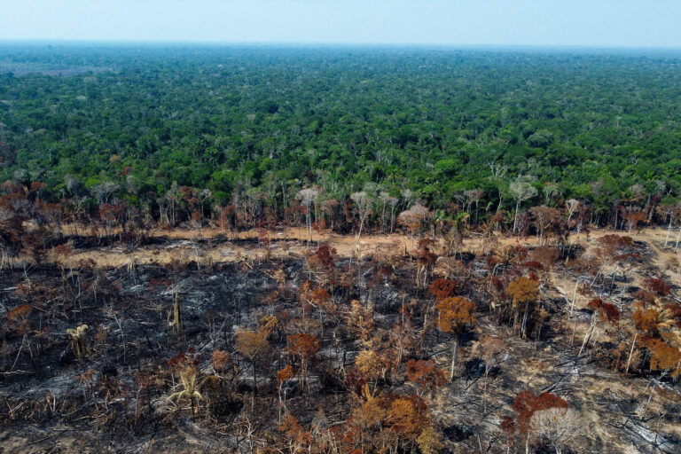 A deforested and burnt area is seen on a stretch of the BR-230 (Transamazonian highway) in Humaitá, Amazonas State, Brazil, on September 16, 2022. (MICHAEL DANTAS/AFP via Getty Images)