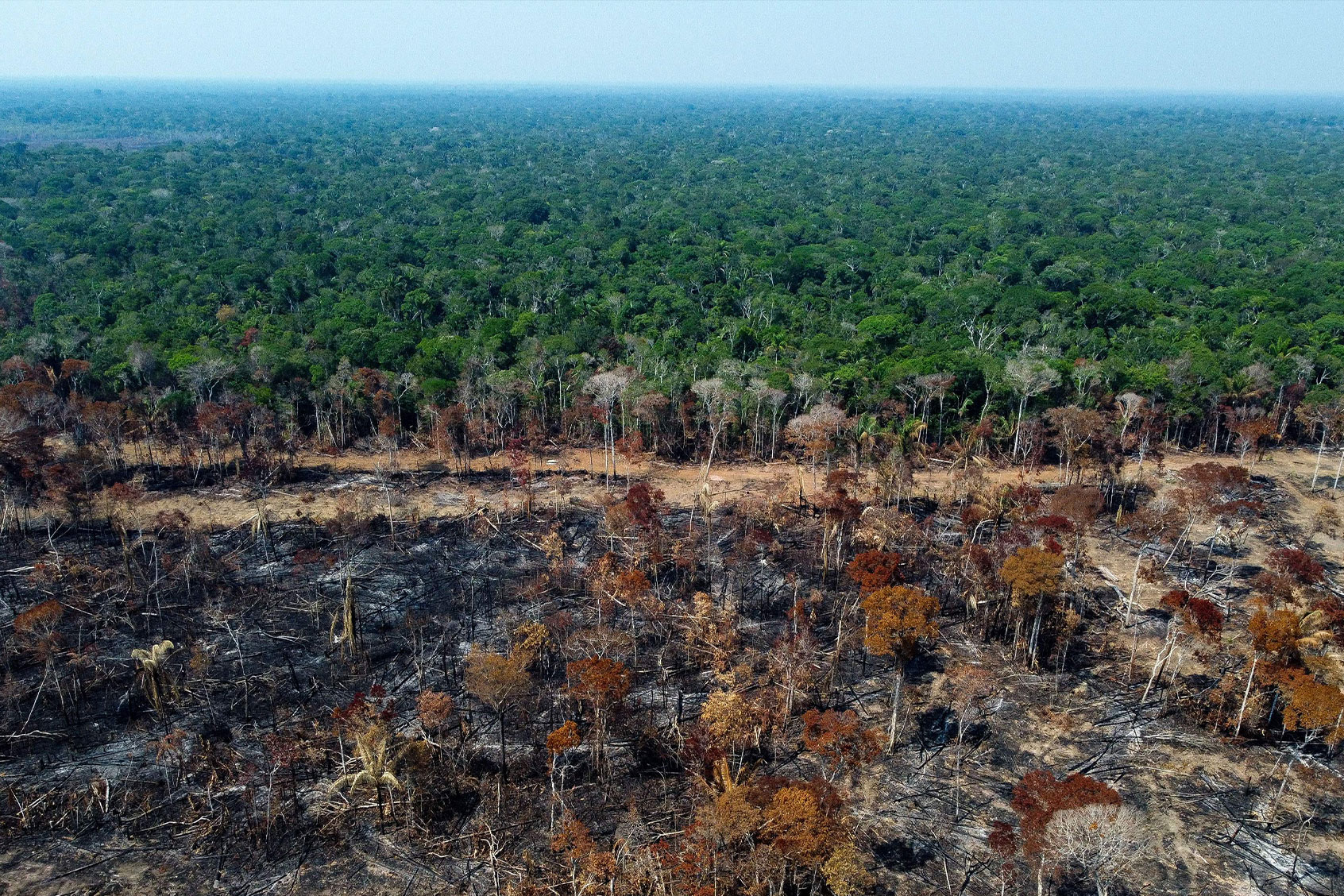 A deforested and burnt area is seen on a stretch of the BR-230 (Transamazonian highway) in Humaitá, Amazonas State, Brazil, on September 16, 2022. (MICHAEL DANTAS/AFP via Getty Images)