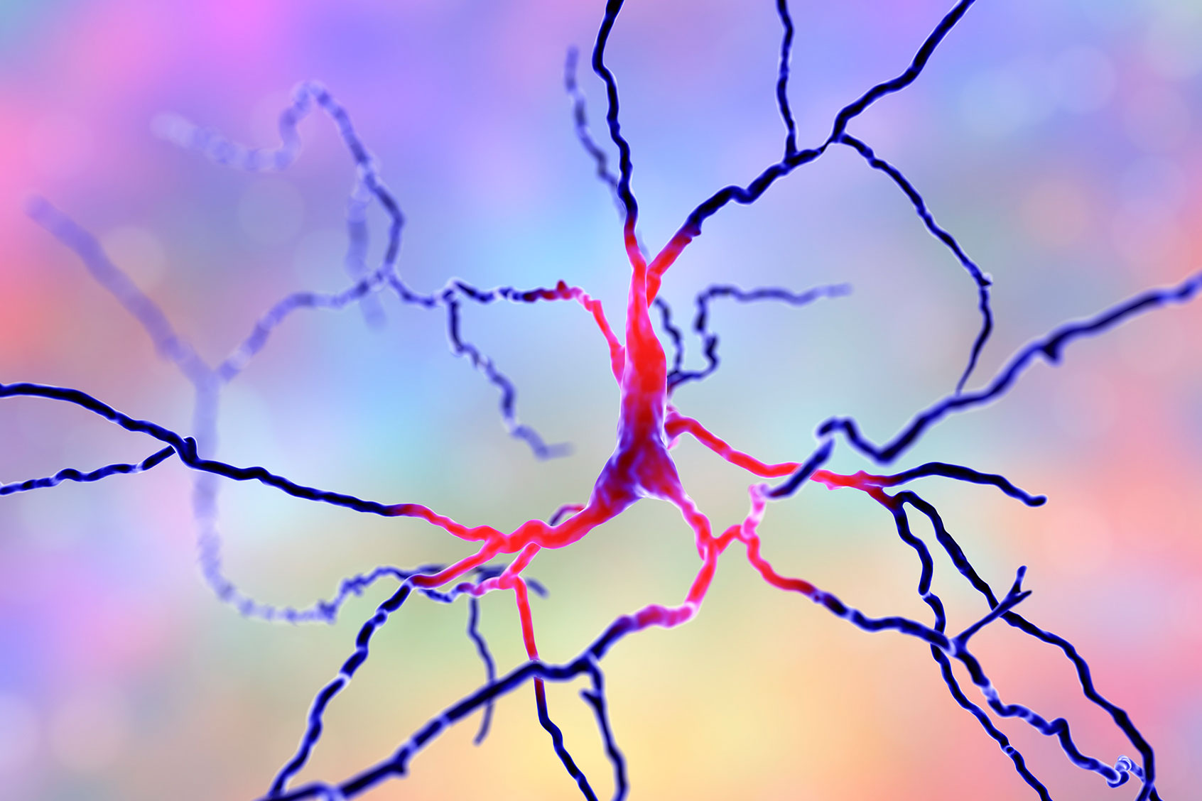 Dopaminergic neurons are brain cells whose primary neurotransmitter is dopamine. (Getty Images/KATERYNA KON/SCIENCE PHOTO LIBRARY)