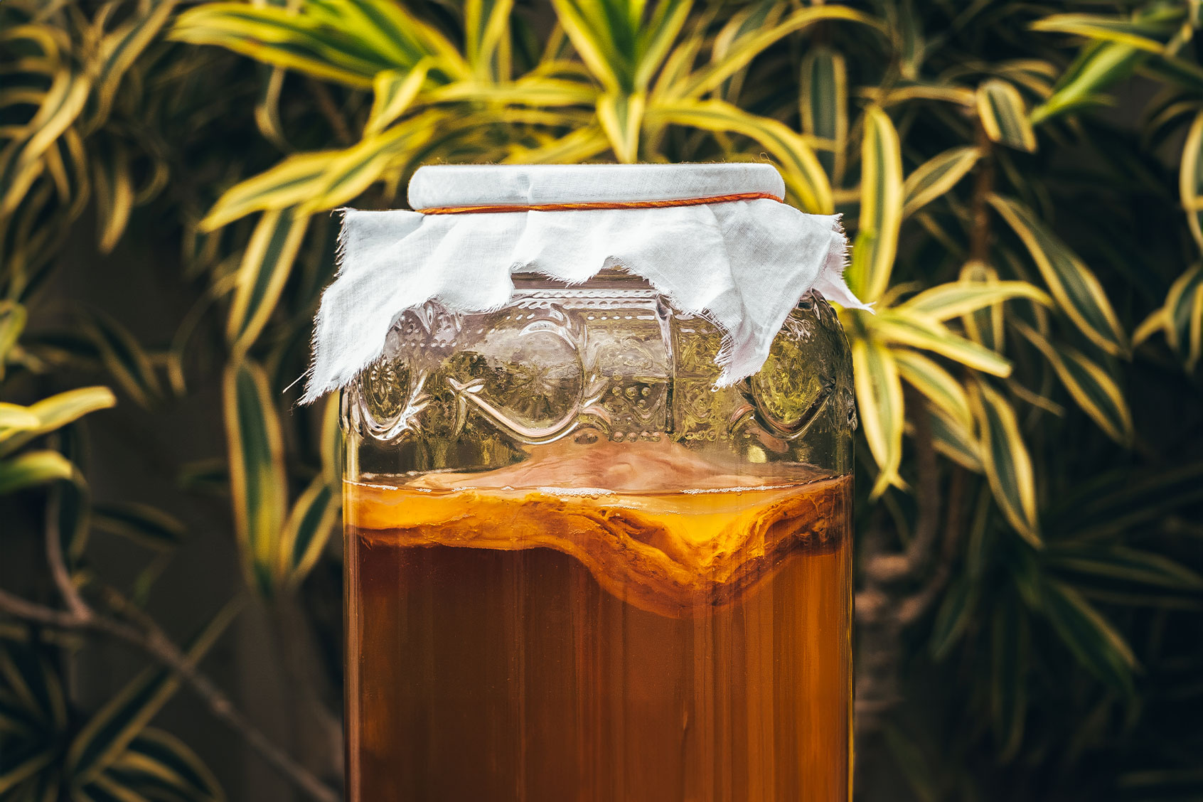 Kombucha drink close-up (Getty Images/Olga Pankova)