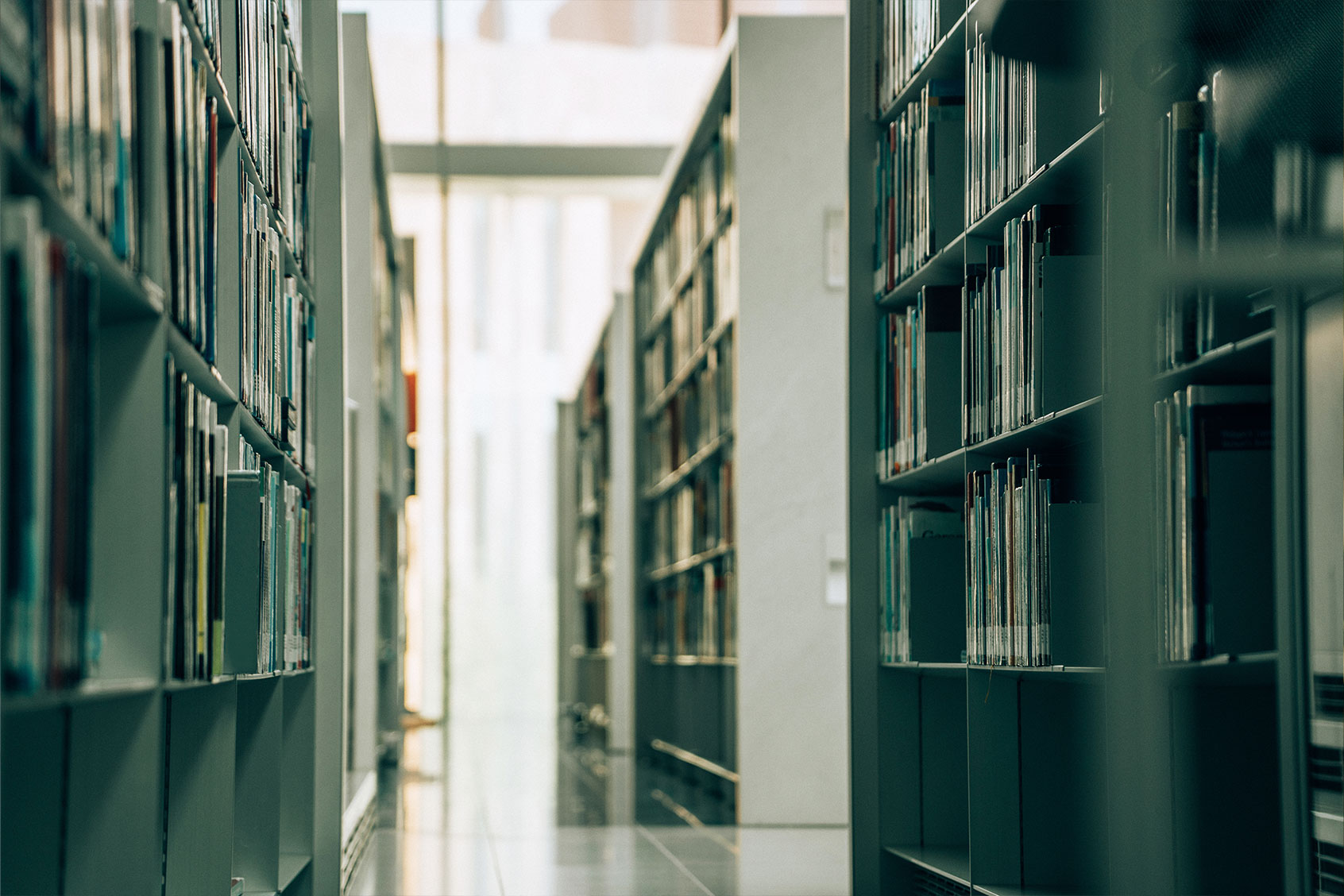 Library Shelves (Getty Images/Nikada)