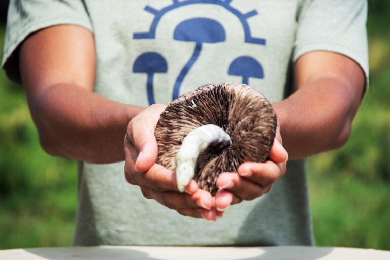 Holding a large mushroom (Photo courtesy of MycoMeditations)