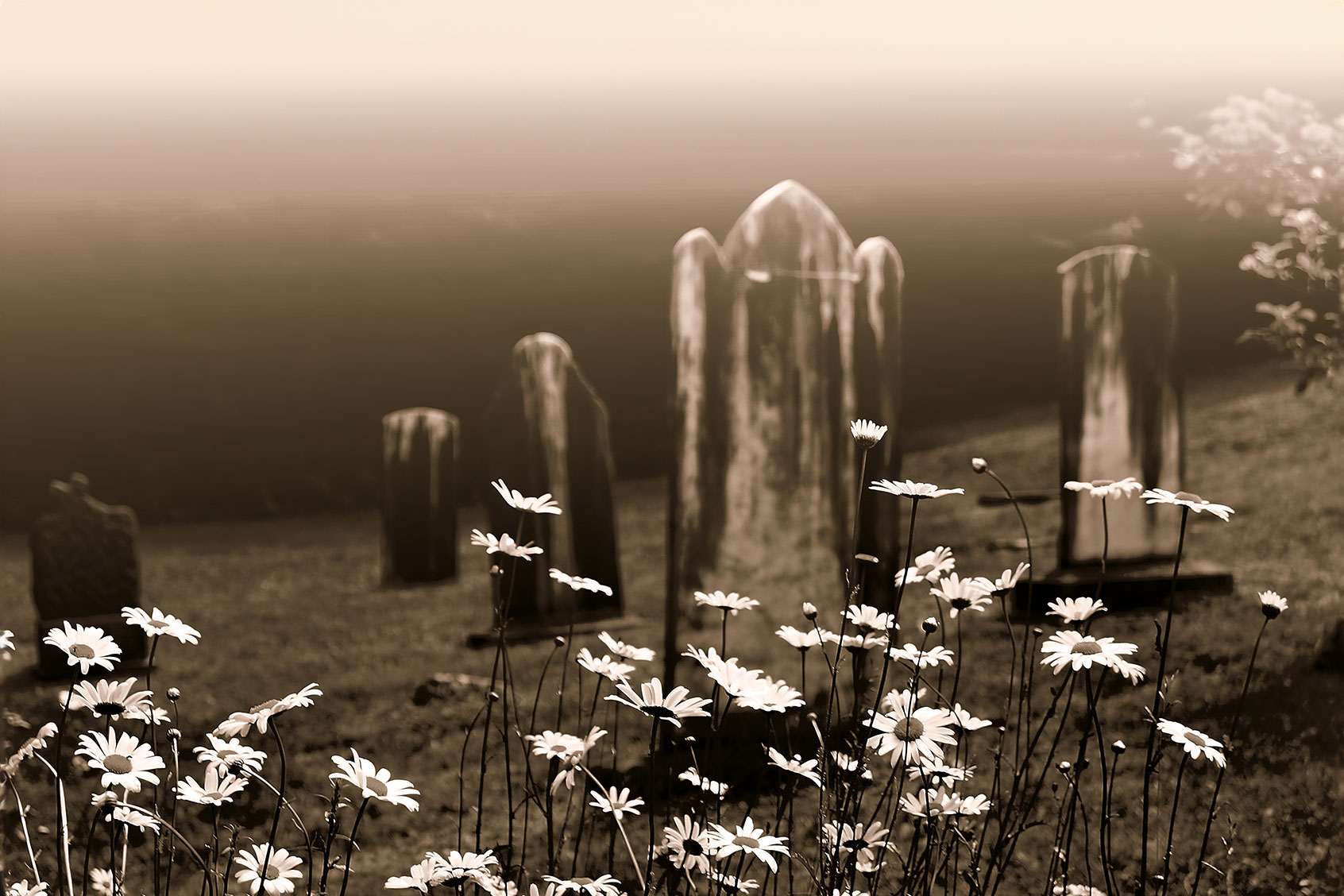 Dramatic Anglican old cemetery, garden foreground (Getty Images/La_Corivo)