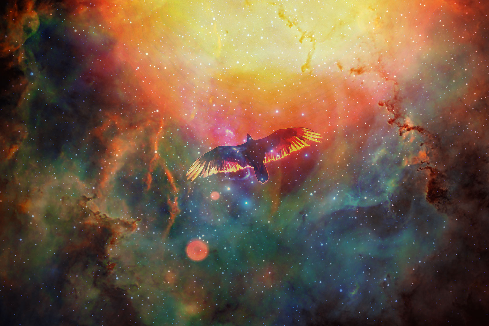 Hawk flying through space (Photo illustration by Salon/Getty Images)