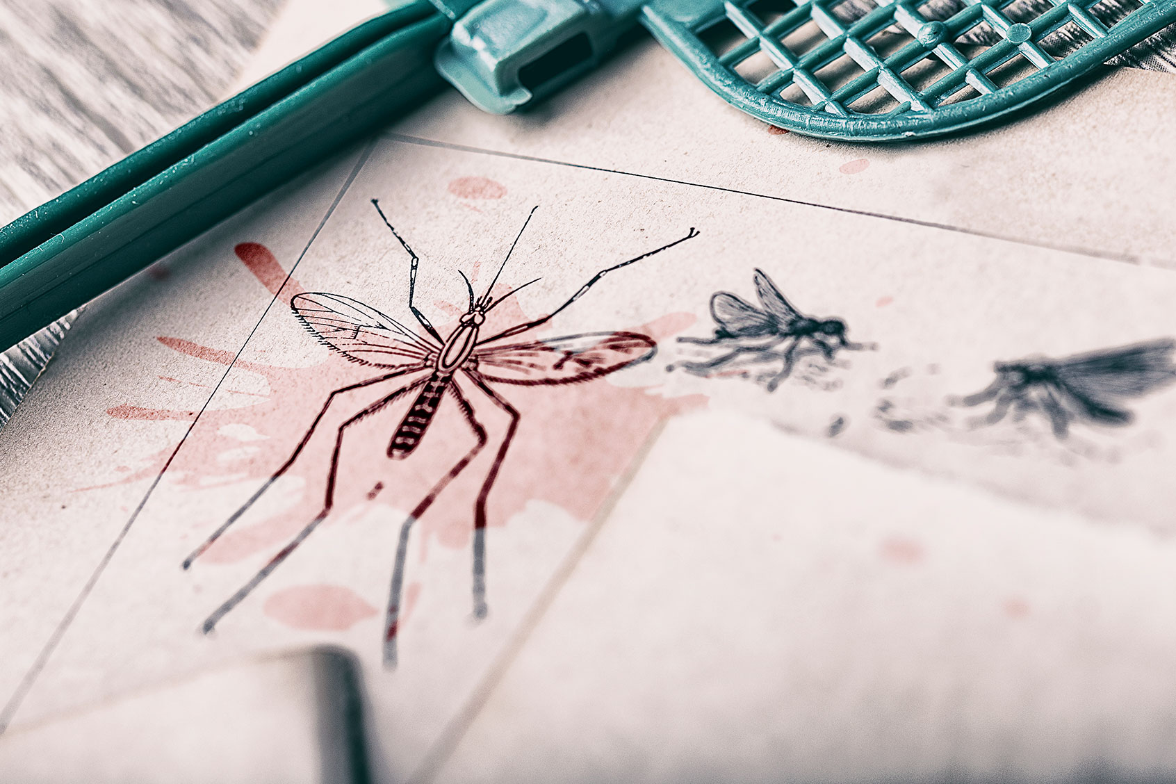 Mosquito in old book with mosquito swatter and blood stain (Getty Images/Nikola Nastasic)