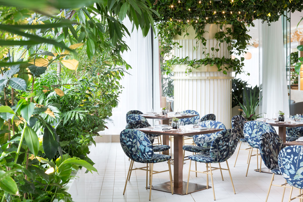 Interior Garden