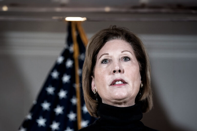 Attorney Sidney Powell speaks to the press about various lawsuits related to the 2020 election, inside the Republican National Committee headquarters on November 19, 2020 in Washington, DC. (Drew Angerer/Getty Images)