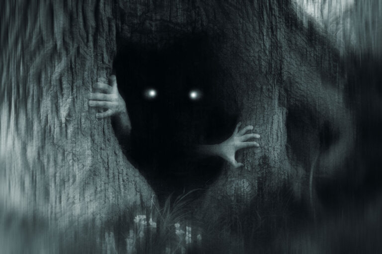 A spooky horror concept of a monster with glowing eyes, hiding in a tree trunk, in a dark spooky forest. (Getty Images/David Wall)
