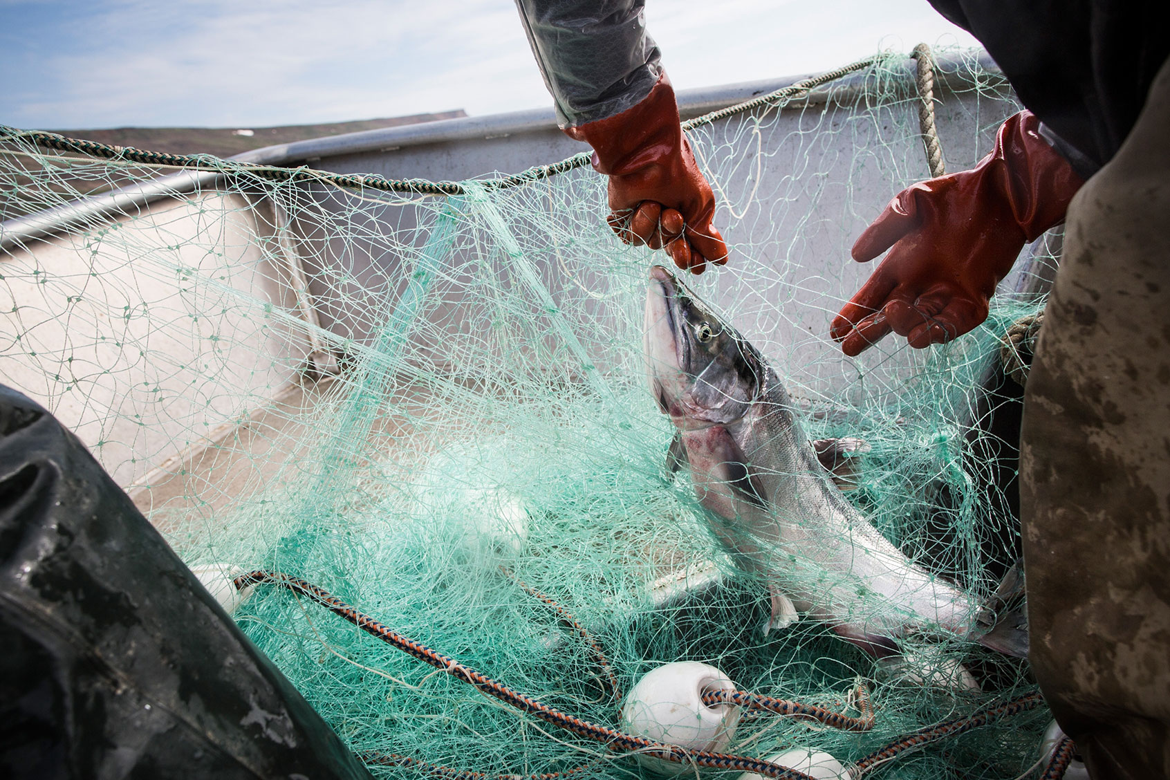 Joseph John Jr. and his son Jeremiah John haul in nets while salmon fishing on July 1, 2015 in Newtok, Alaska. (Andrew Burton/Getty Images)