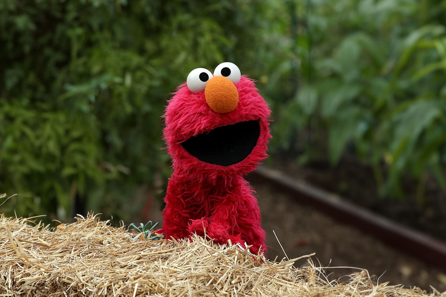 Elmo’s X account shares “disgusting” messages after hack - Salon.com