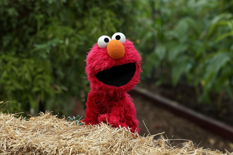 Sesame Street's Elmo (Chip Somodevilla/Getty Images)