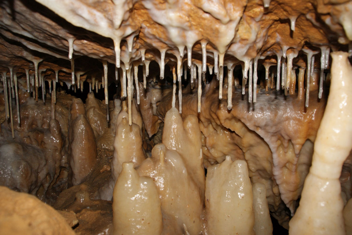 Active dripstone formation in a side area of the 