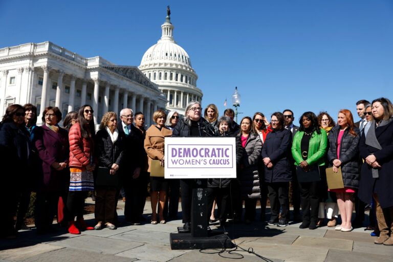Rep. Susan Wild (D-PA) speaks during a news conference on In Vitro Fertilization treatment on February 29, 2024 in Washington, DC. (Anna Moneymaker/Getty Images)