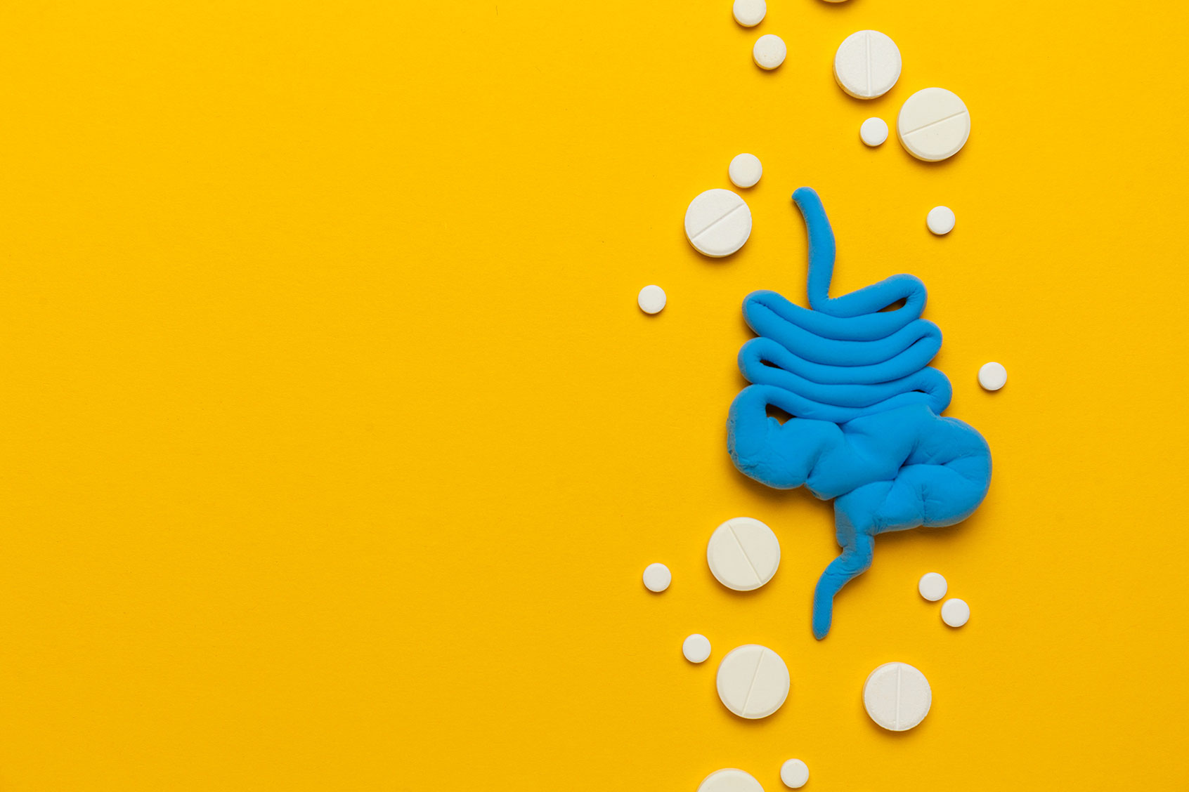 Human intestines with pills (Getty Images/Iryna Zastrozhnova)