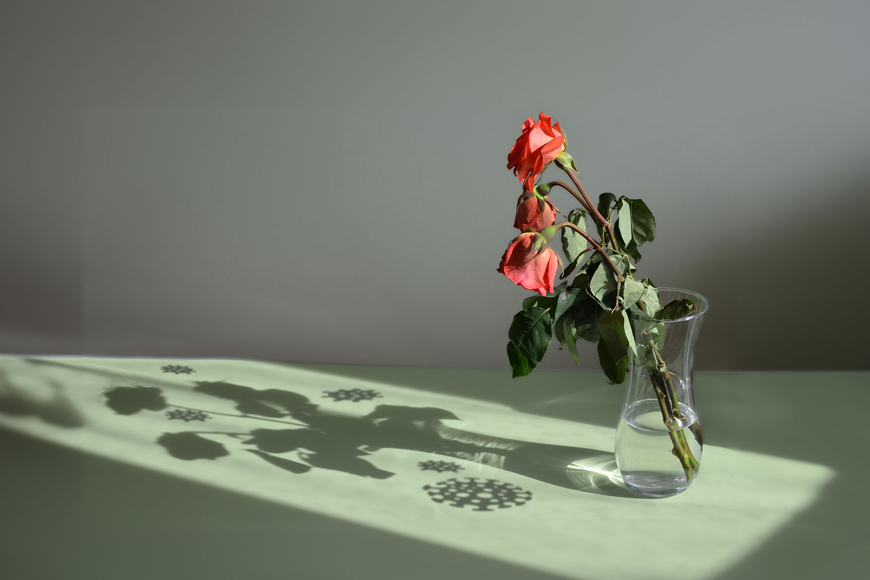 Wilted flowers and COVID virus shadows (Photo illustration by Salon/Getty Images)