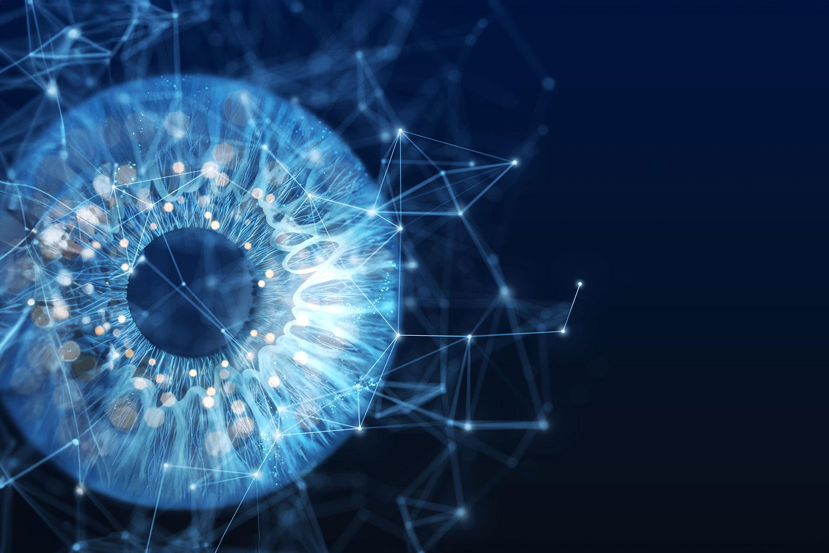 Biometric eye scan and network (Getty Images/Yuichiro Chino)