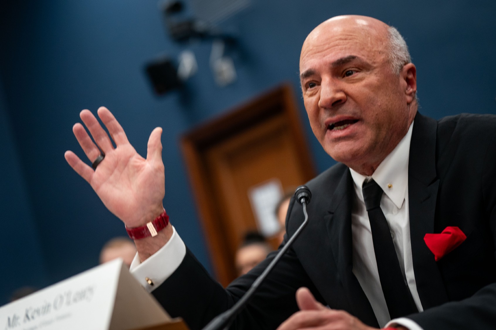 Kevin O'Leary, Chairman of O'Leary Ventures, testifies before the House Committee on Small Business during a hearing "Unleashing Main Street's Potential: Examining Avenues to Capital Access" at the Rayburn House Office Building on January 18, 2024 in Washington, DC. ( Kent Nishimura/Getty Images)