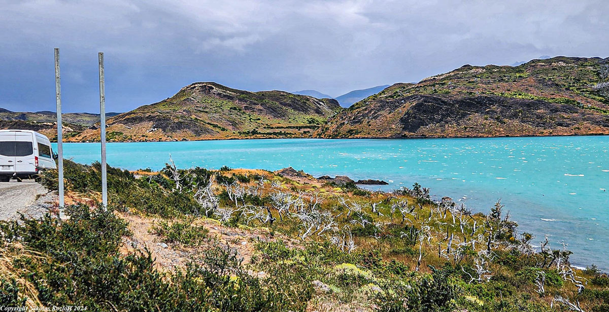 Burnt Vegetation at Torres del Paine National Park in Chile