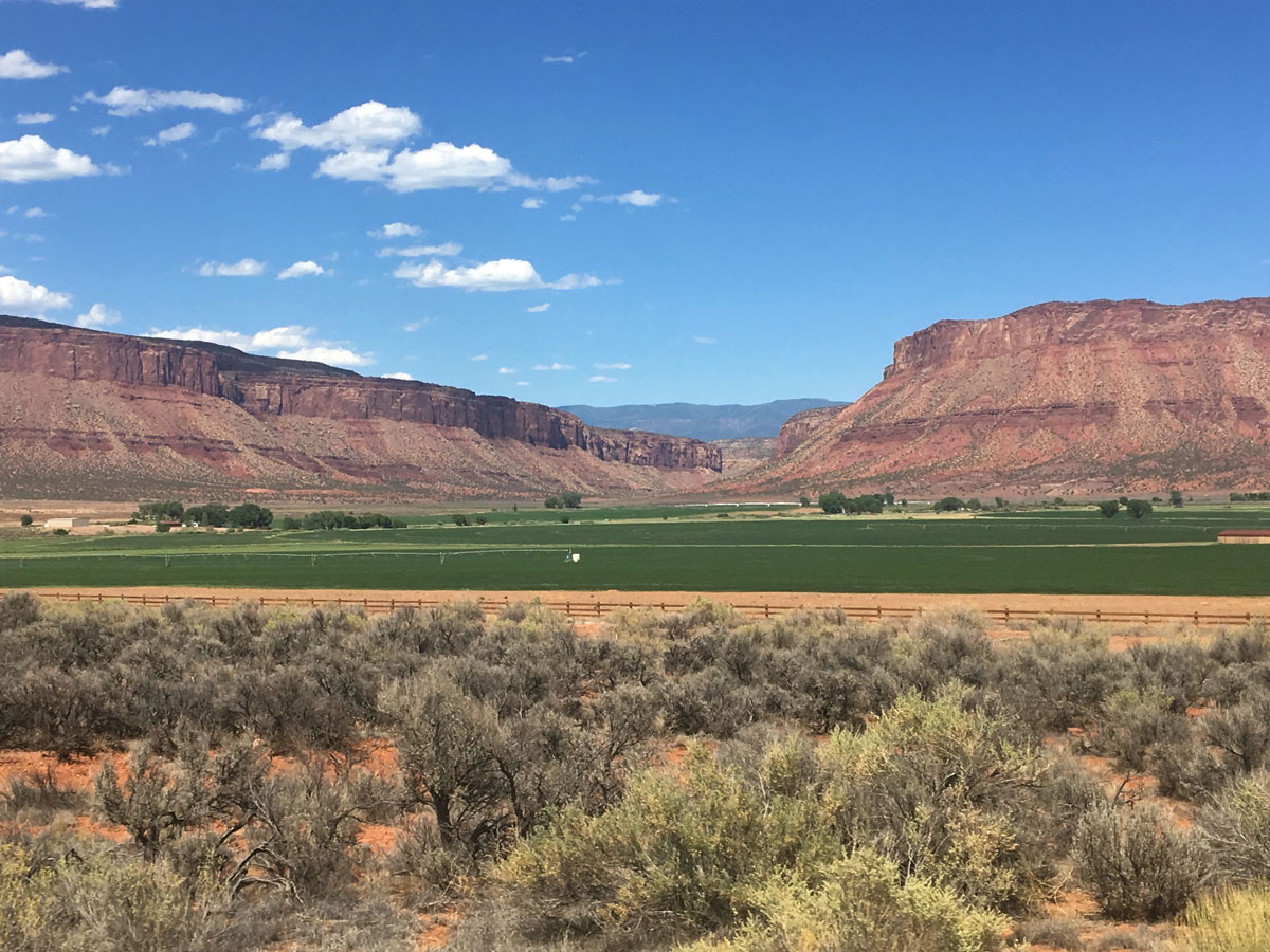 Colorado River Dolores River irrigate alfalfa fields
