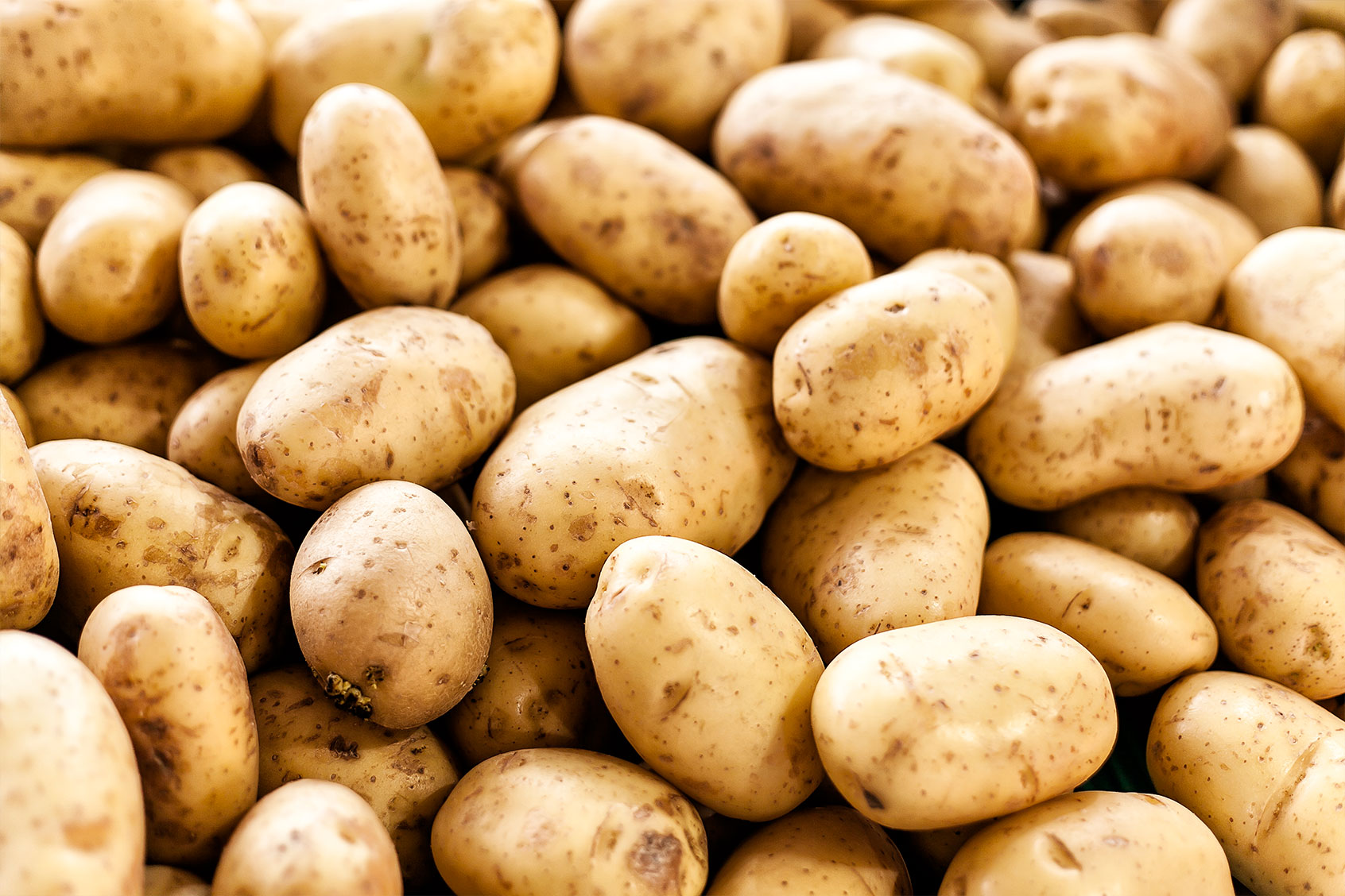 Potatoes (Getty Images/Massimo Ravera)