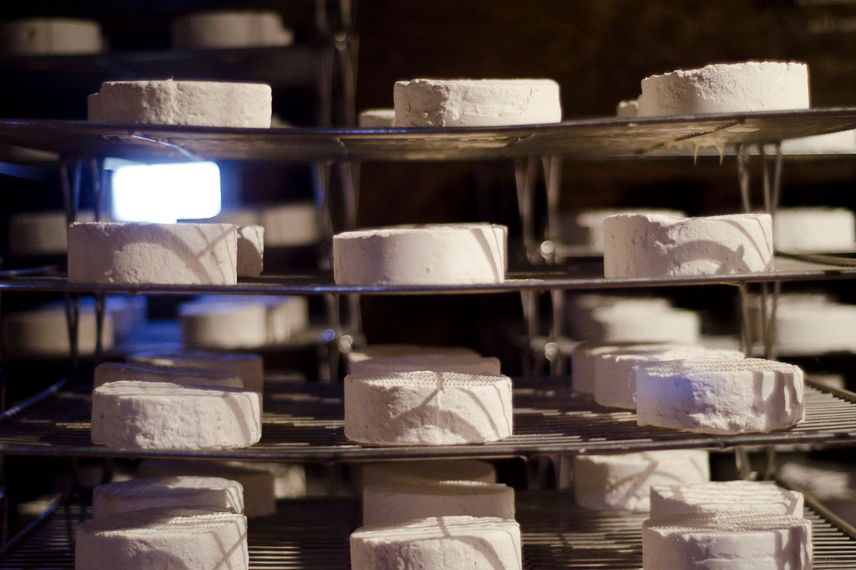 Wheels of cheese on a wire rack (Getty Images/Naomi Rahim)