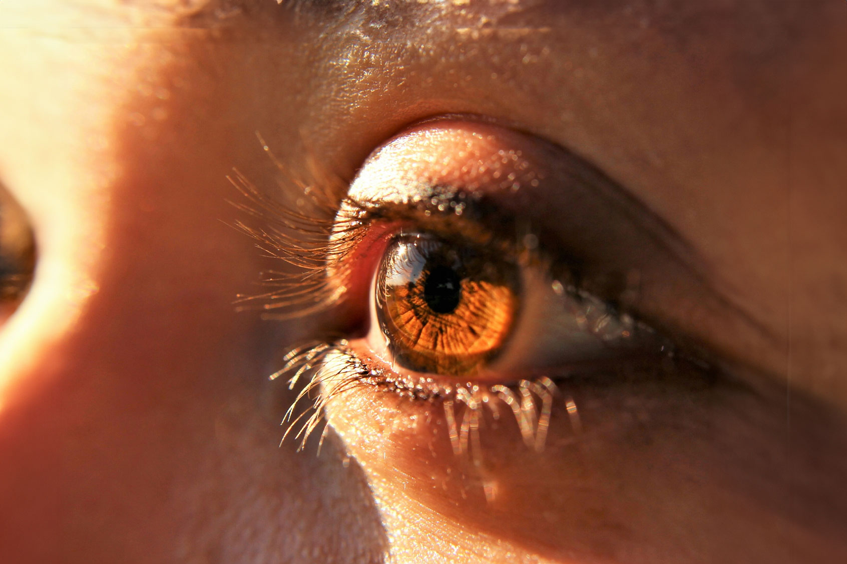 Brown Eye, close-up (Getty Images / Lora Owens / FOAP)