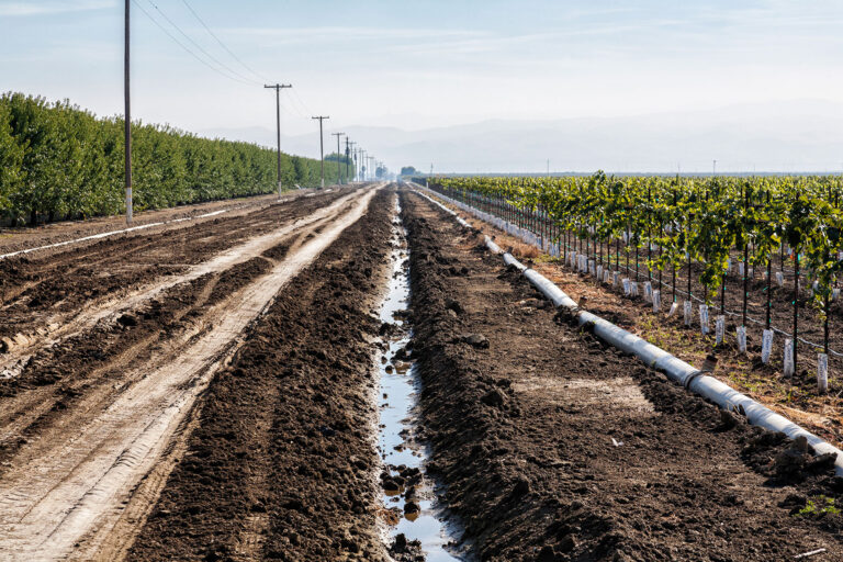Irrigation ditch running next to vineyard and almond orchard in Fresno County, San Joaquin Valley, California. (Citizens of the Planet/Education Images/Universal Images Group via Getty Images)