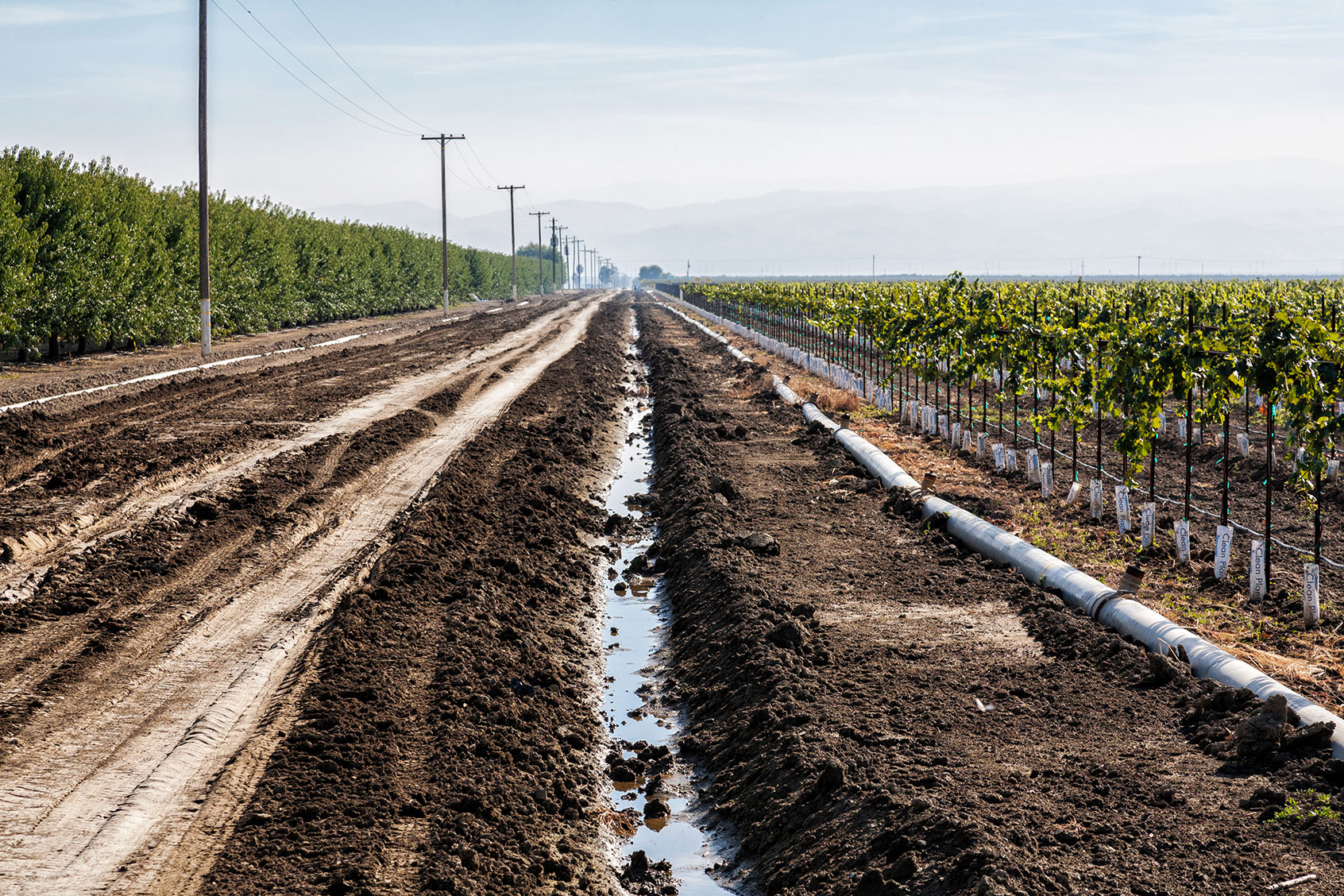 Irrigation ditch running next to vineyard and almond orchard in Fresno County, San Joaquin Valley, California. (Citizens of the Planet/Education Images/Universal Images Group via Getty Images)