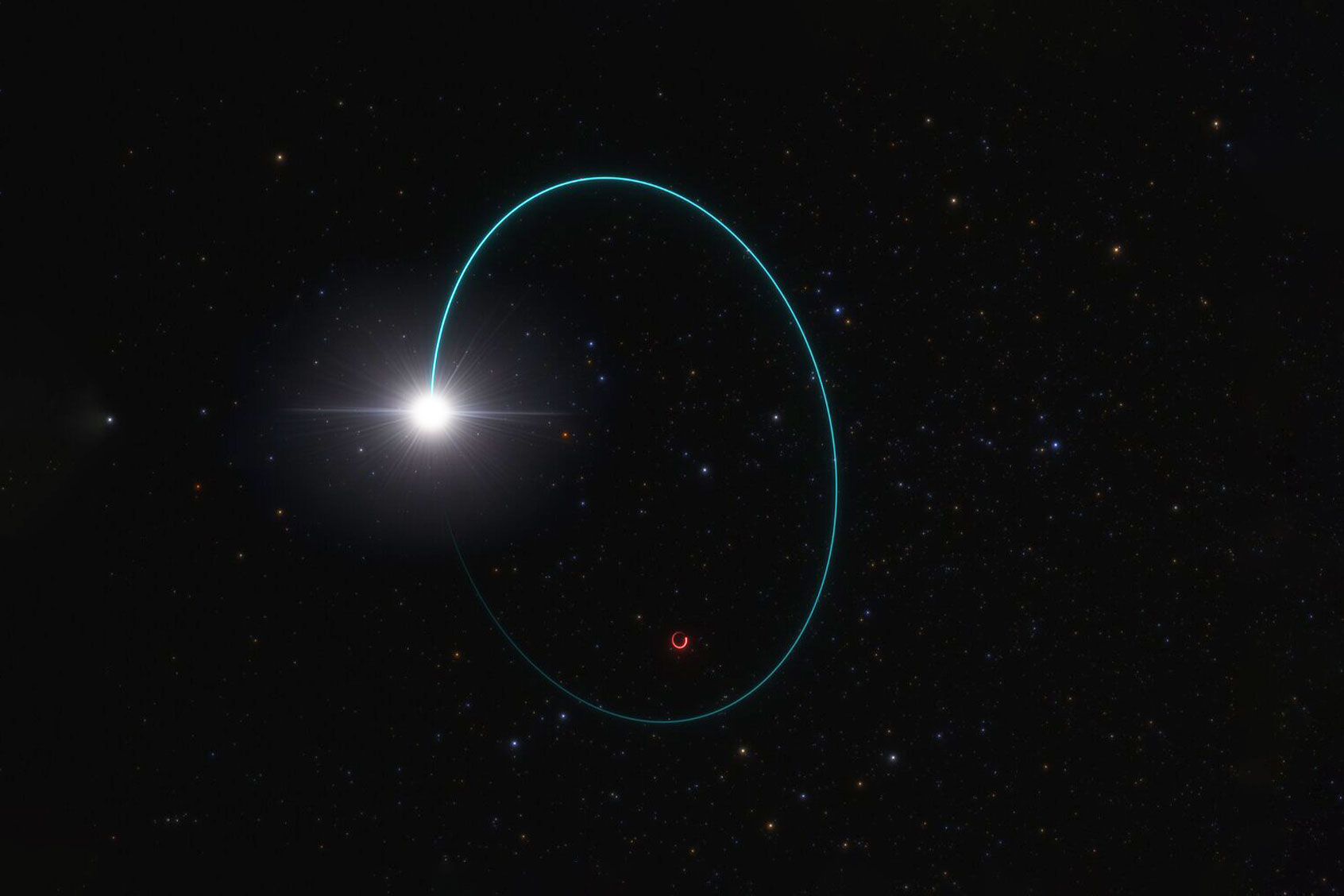 Astronomers have found the most massive stellar black hole in our galaxy, thanks to the wobbling motion it induces on a companion star. This artist’s impression shows the orbits of both the star and the black hole, dubbed Gaia BH3, around their common centre of mass. (ESO/L. Calçada)