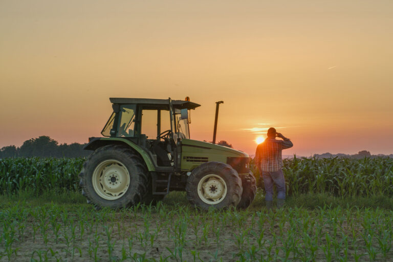 Farmer and tractor in corn field at sunset (Getty Images/SimonSkafar)