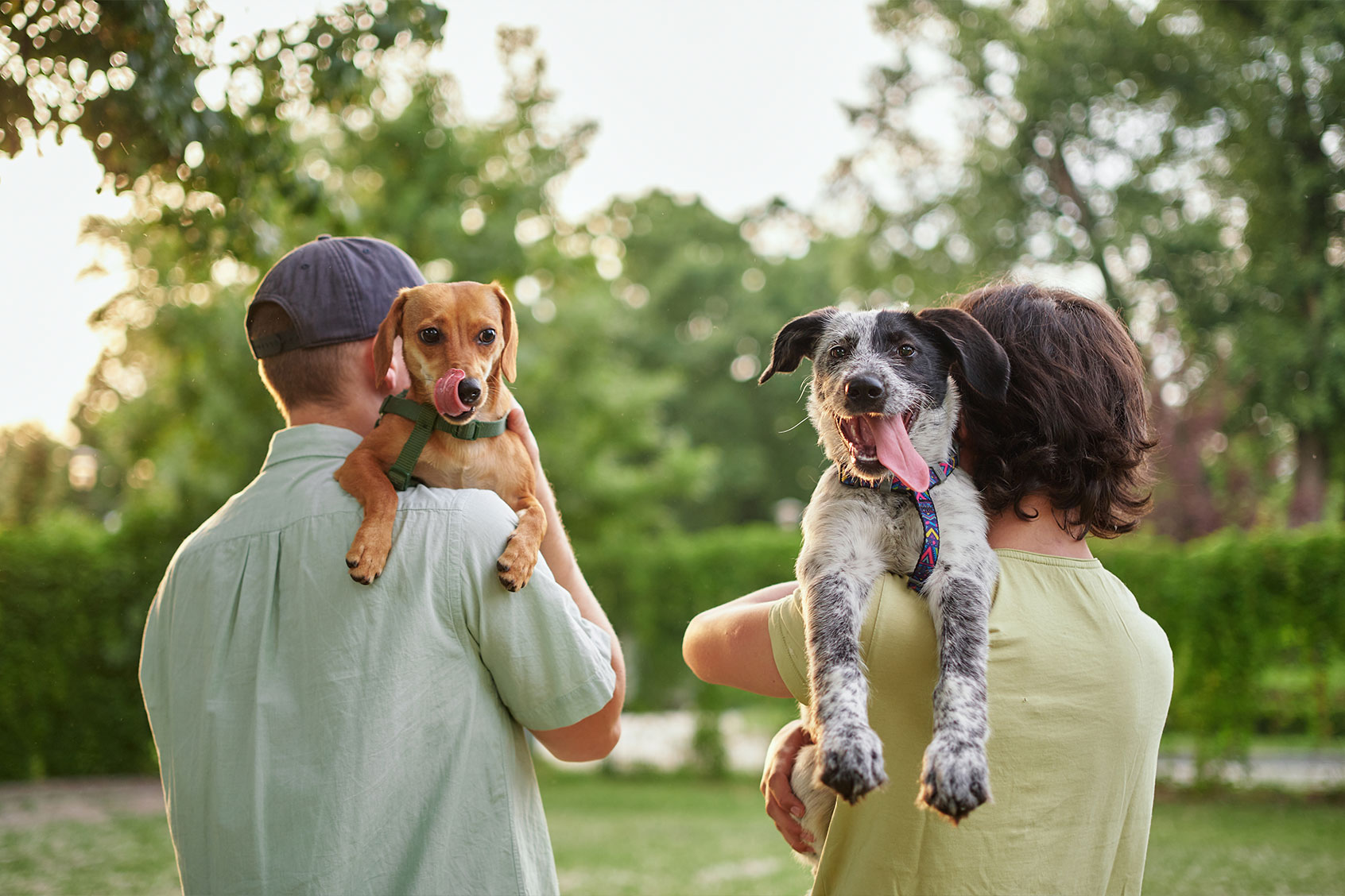 Family with dogs (Getty Images/boytsov)