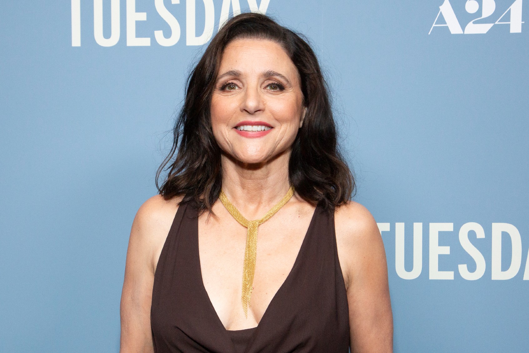 Julia Louis-Dreyfus attends the "Tuesday" New York Special Screening at Metrograph on June 06, 2024 in New York City. (Santiago Felipe/Getty Images)