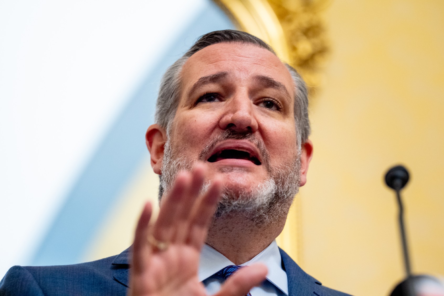 Sen. Ted Cruz (R-TX) speaks at a news conference to unveil the Take It Down Act to protect victims against non-consensual intimate image abuse, on Capitol Hill on June 18, 2024, in Washington, DC. (Andrew Harnik/Getty Images)